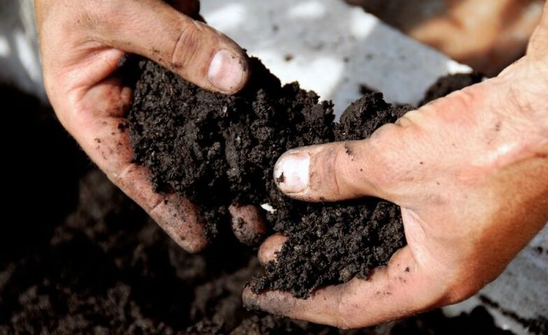 a talajjal való munka a férgek által okozott fertőzés útjaként